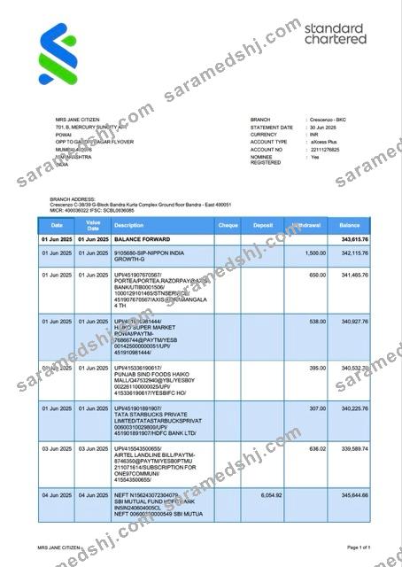 India Standard Chartered Bank account statement Word and PDF template, version 3